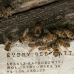 蜂が働かなければ、人類は存続できない。“過労死する蜂”を元気づけて、人を救う“エナジーペーパー”とは